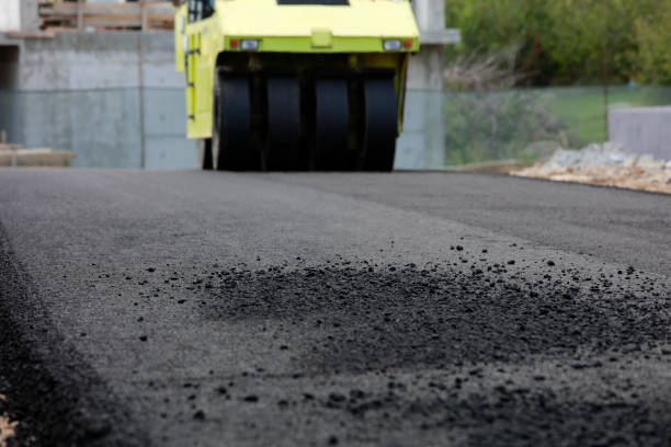 Best Decorative Driveway Pavers  in Pineland, TX
