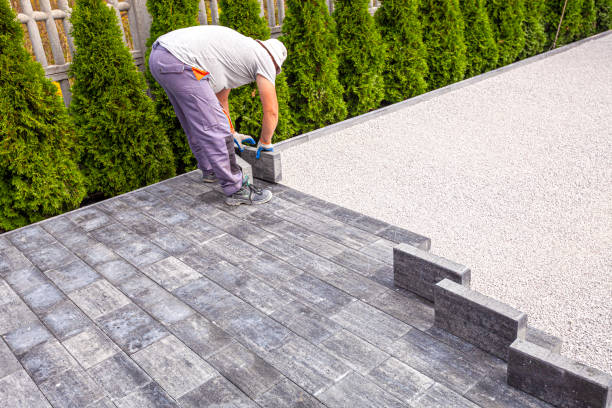 Best Driveway Pavers Near Me  in Pineland, TX